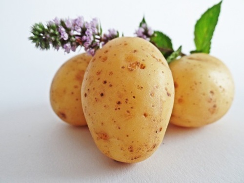 Product picture Potato Cookbook